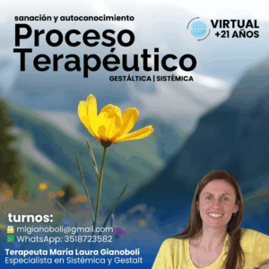 Proceso Terapéutico Individual